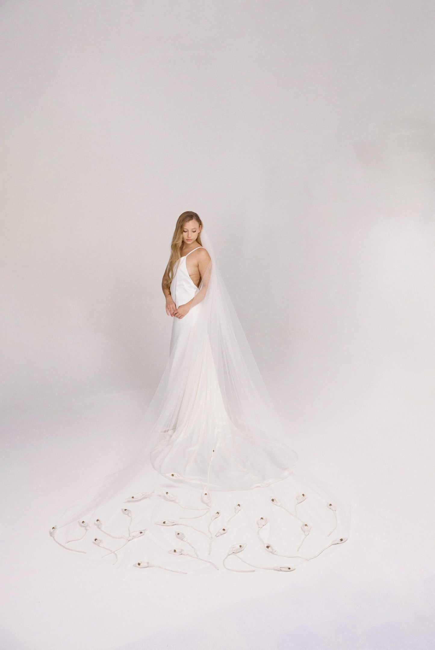 Josefina Veil
